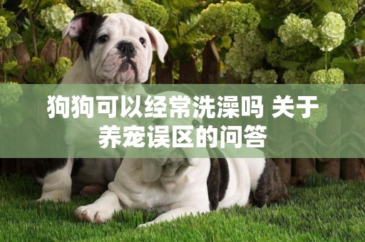 狗狗可以經常洗澡嗎 關于養寵誤區的問答
