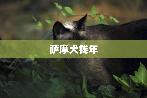 薩摩犬錢年