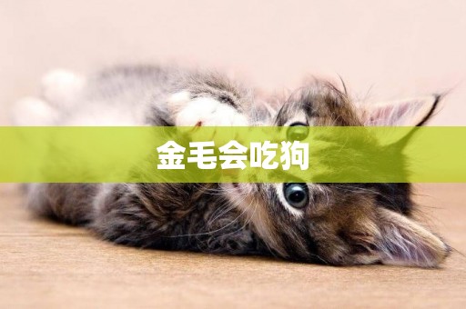 金毛會吃狗