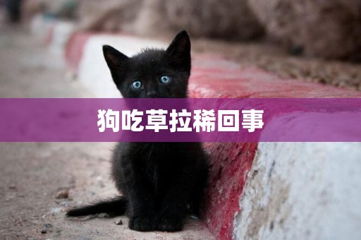 狗吃草拉稀回事
