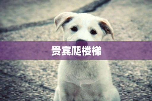 貴賓爬樓梯