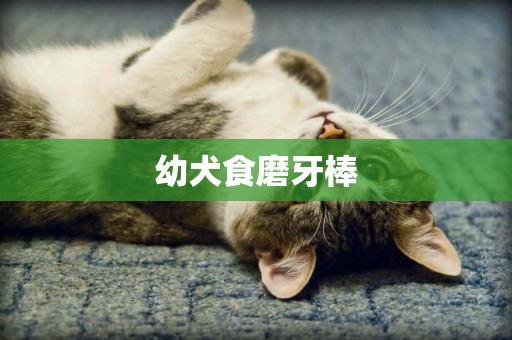 幼犬食磨牙棒