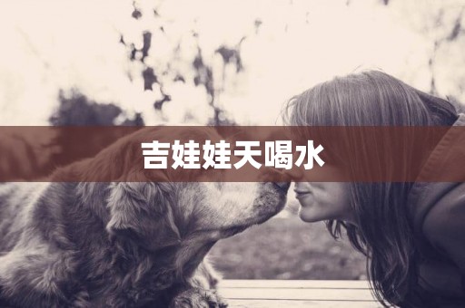 吉娃娃天喝水