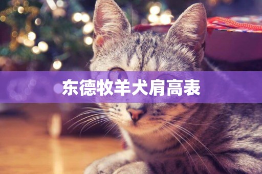 東德牧羊犬肩高表