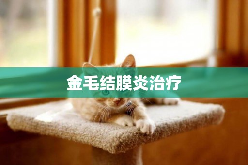 金毛結膜炎治療