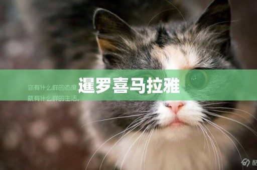 暹羅喜馬拉雅
