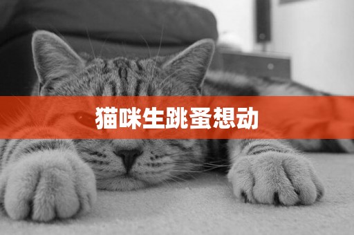 貓咪生跳蚤想動