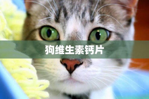 狗維生素鈣片