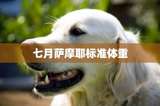七月薩摩耶標準體重