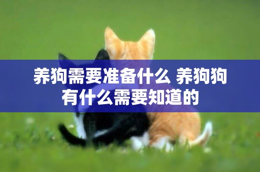 養狗需要準備什么 養狗狗有什么需要知道的