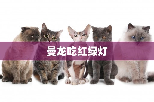 曼龍吃紅綠燈