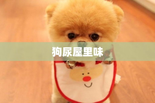 狗尿屋里味