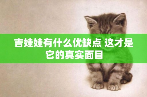 吉娃娃有什么優缺點 這才是它的真實面目