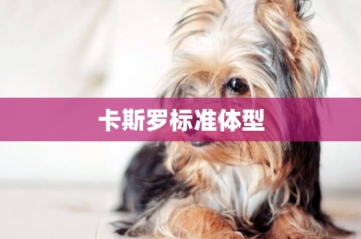 卡斯羅標準體型