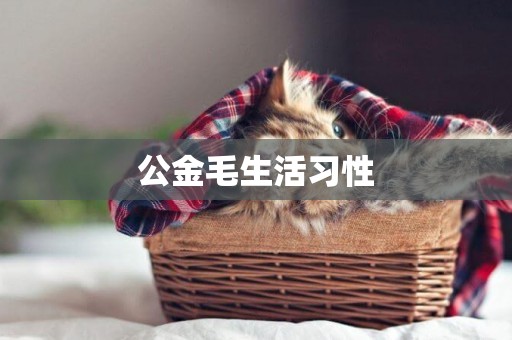 公金毛生活習性