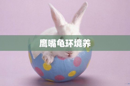 鷹嘴龜環境養