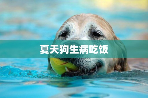 夏天狗生病吃飯