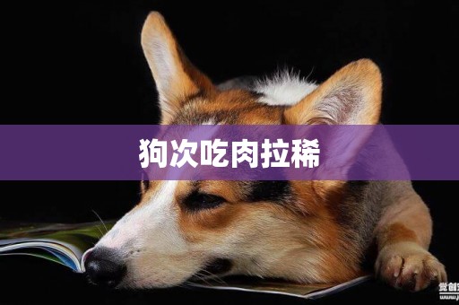 狗次吃肉拉稀