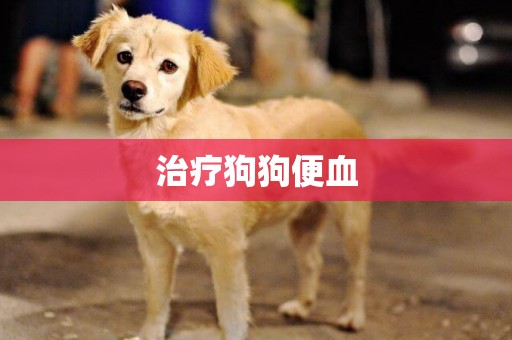 治療狗狗便血