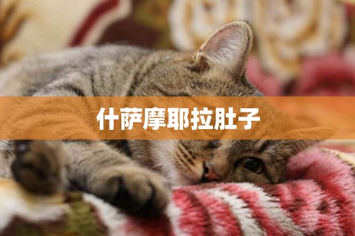 什薩摩耶拉肚子