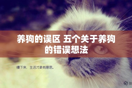 養狗的誤區 五個關于養狗的錯誤想法