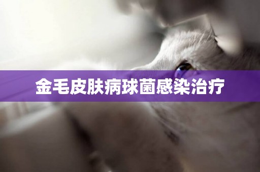 金毛皮膚病球菌感染治療