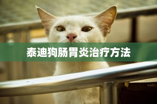 泰迪狗腸胃炎治療方法