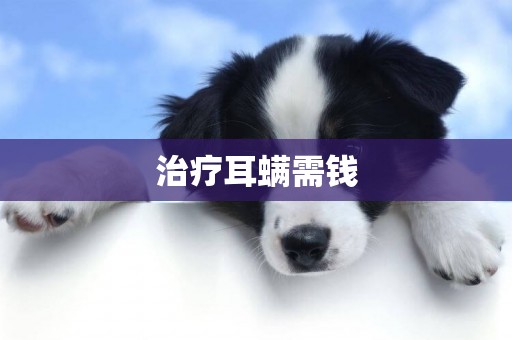 治療耳螨需錢
