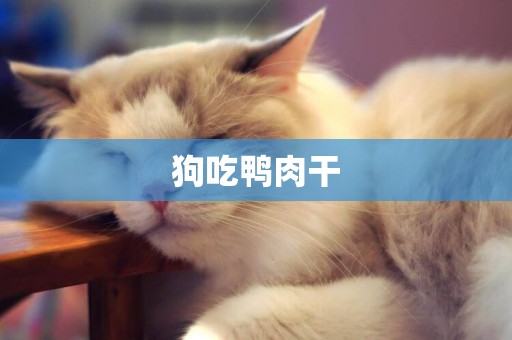 狗吃鴨肉干