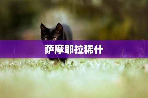 薩摩耶拉稀什