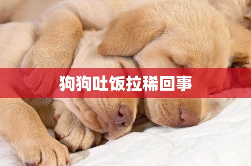 狗狗吐飯拉稀回事