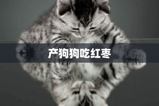 產狗狗吃紅棗