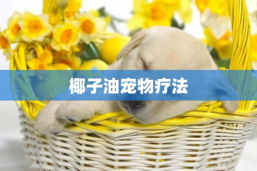 椰子油寵物療法