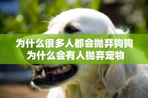 為什么很多人都會拋棄狗狗 為什么會有人拋棄寵物