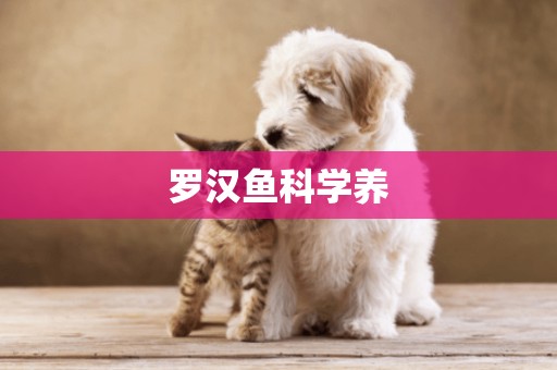 羅漢魚科學養