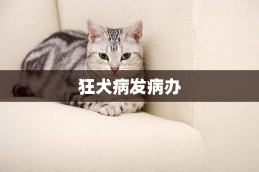 狂犬病發病辦