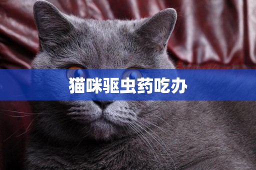 貓咪驅蟲藥吃辦