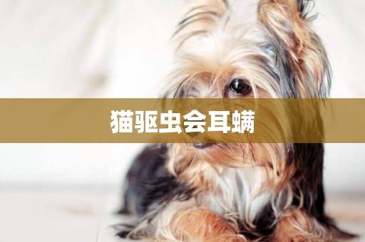 貓驅蟲會耳螨