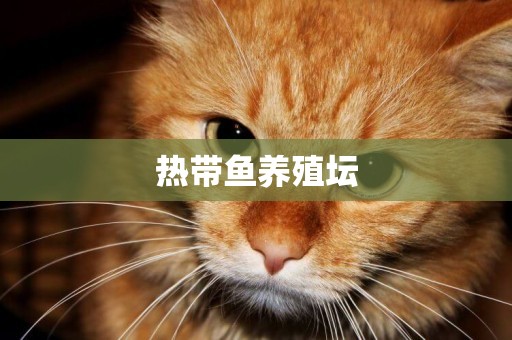 熱帶魚養殖壇