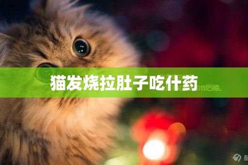 貓發燒拉肚子吃什藥