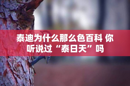 泰迪為什么那么色百科 你聽說過“泰日天”嗎