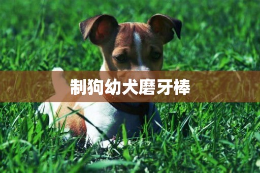 制狗幼犬磨牙棒