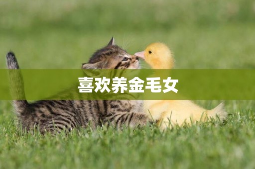 喜歡養金毛女