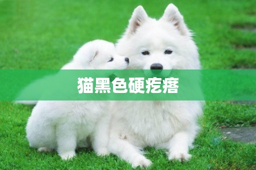 貓黑色硬疙瘩