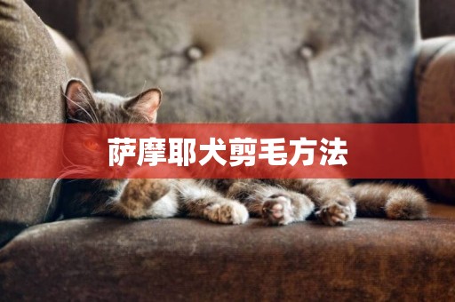 薩摩耶犬剪毛方法