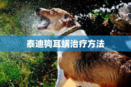 泰迪狗耳螨治療方法