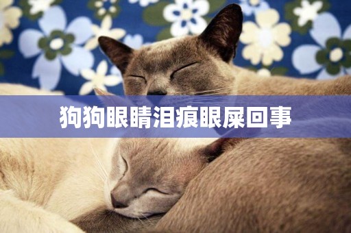 狗狗眼睛淚痕眼屎回事