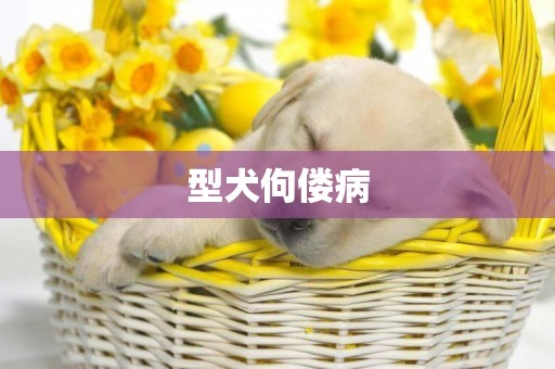 型犬佝僂病