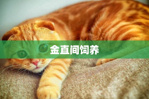 金直間飼養