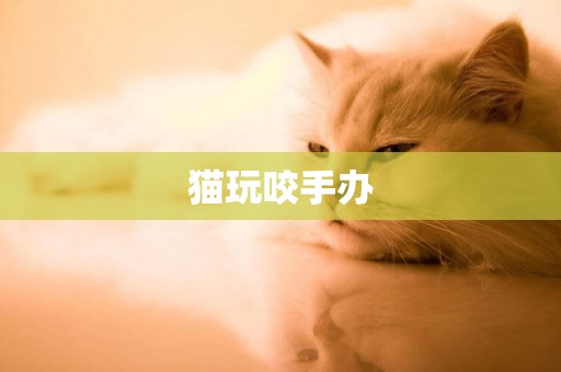 貓玩咬手辦